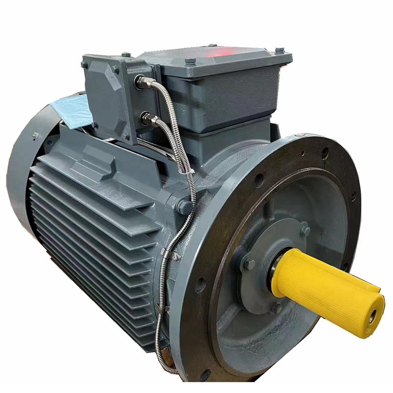 YE2 Series Three-Phase Asynchronous Motors
