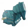 YB Series High-Efficiency High-Voltage Explosion-Proof Three-Phase Asynchronous Motor