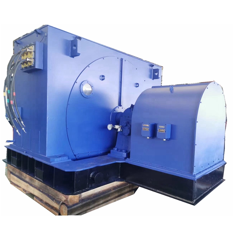 1000KW, TDMK series synchronous motor, 6600V