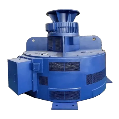 TL and TLKS Series Vertical Synchronous Motors