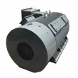 Y2HV Series High-voltage Three-phase Asynchronous Motor