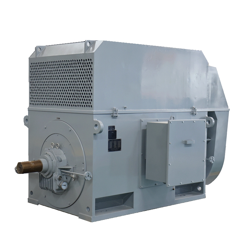 Y Series High-Voltage Motors