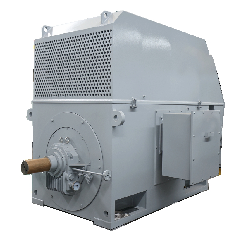 Y Series High-Voltage Motors