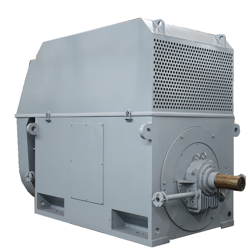 Y Series High-Voltage Motors