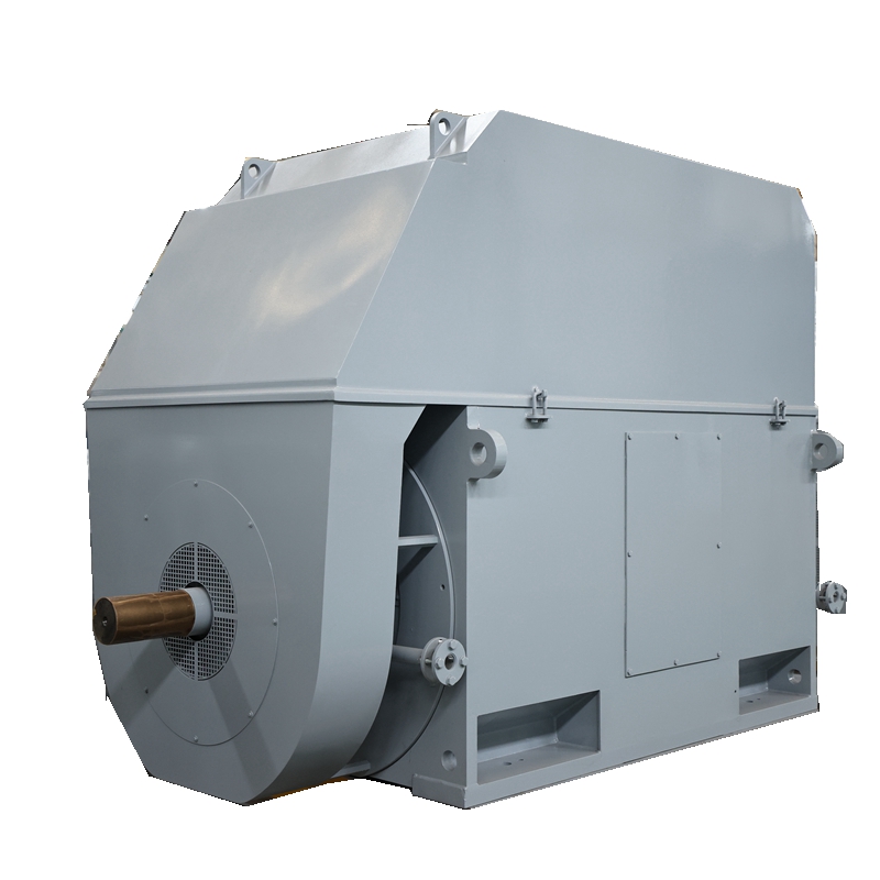 Y Series High-Voltage Motors