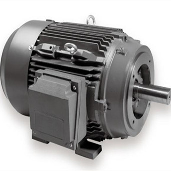 NEMA premium electric motor 