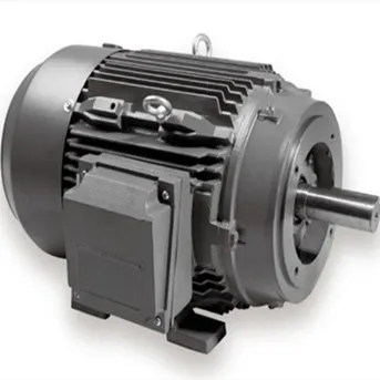 NEMA premium electric motor 